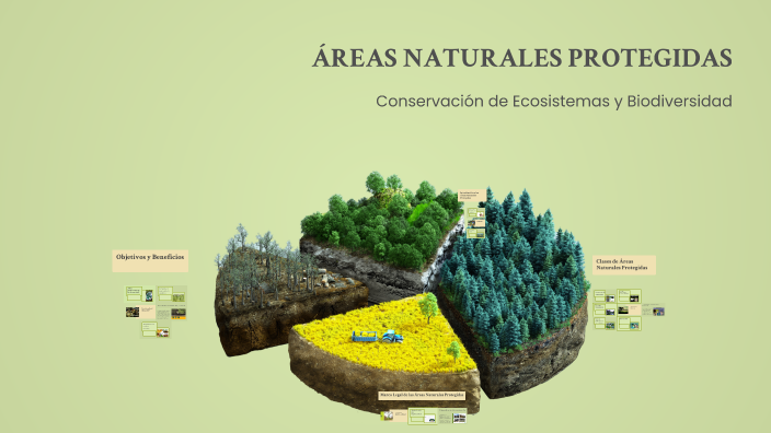 ÁREAS NATURALES PROTEGIDAS by Andrés E. Sánchez C. on Prezi