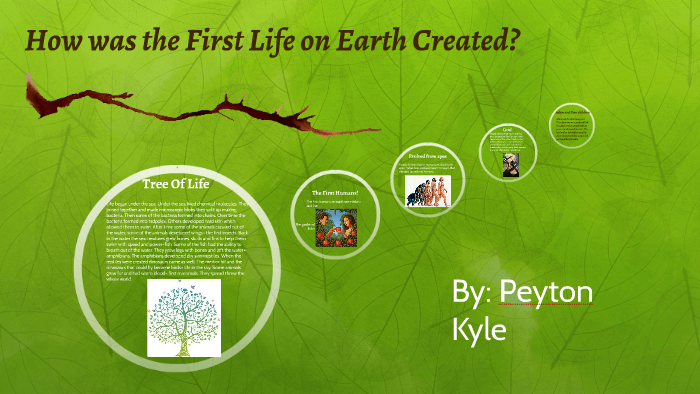 how was the first life on earth created! by Lilly Adams on Prezi