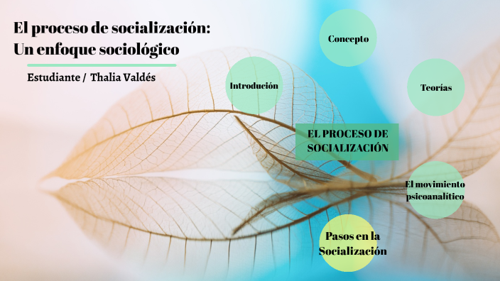 Proceso de socialización by Thalia Valdes on Prezi