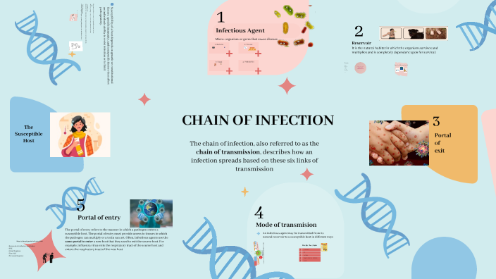 CHAIN OF INFECTION by RANEEM SAEED on Prezi