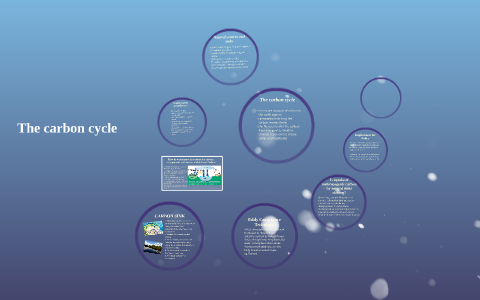 The carbon cycle by on Prezi