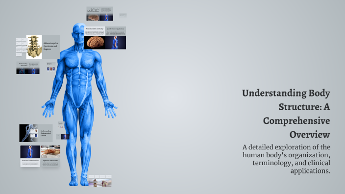 John Body Structure Understanding Body Structure: A Comprehensive Overview by Jennifer ...