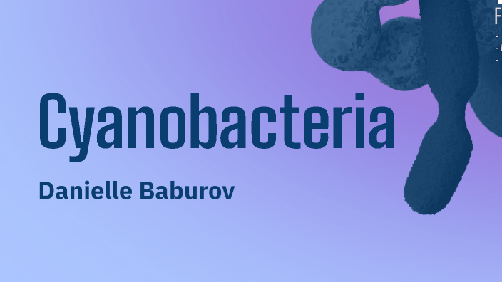 Cyanobacteria by Danielle Baburov on Prezi