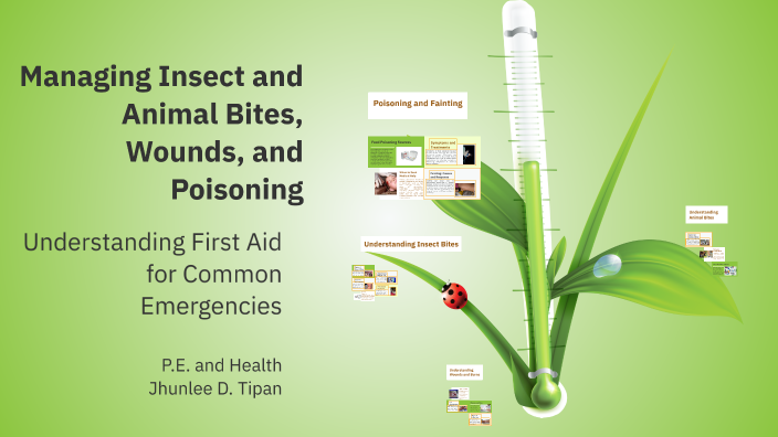 Poisioning Insect Managing Insect and Animal Bites, Wounds, and Poisoning by Jhunlee ...
