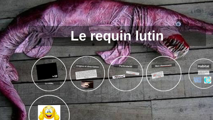 Le requin lutin by samy carpel on Prezi