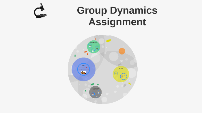 group dynamics assignment