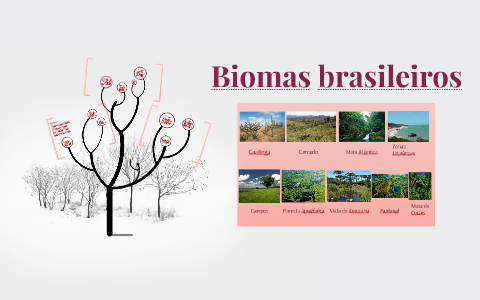 Biomas brasileiros by Natasha Desirée on Prezi