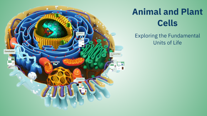 Animal and Plant Cells by Blake Kraczek on Prezi
