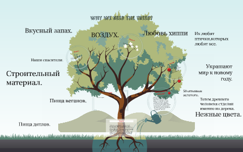 Why we need the trees? by Dayana Zabbarova on Prezi