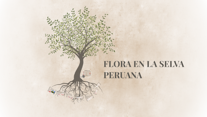 FLORA EN LA SELVA PERUANA by Rider Lopez Vasquez