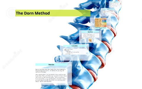 Spine Basics - OrthoInfo - AAOS