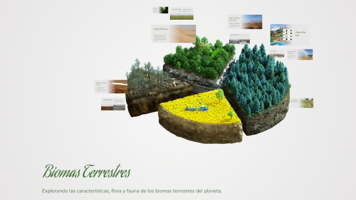 Biomas Terrestres by Karen Reina on Prezi