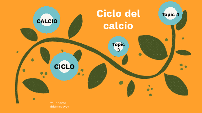 Ciclo Del Calcio By Vega Huillca Miltan Shirle On Prezi 0839