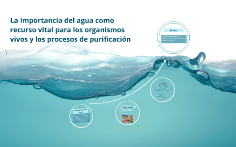 La Importancia Del Agua Como Recurso Vital Para Los Organism By Abigail ...