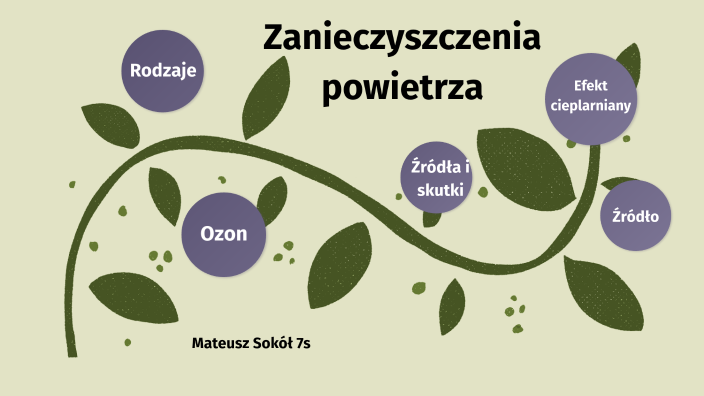 Zanieczyszczenia Powietrza By Gabriela Sokół On Prezi