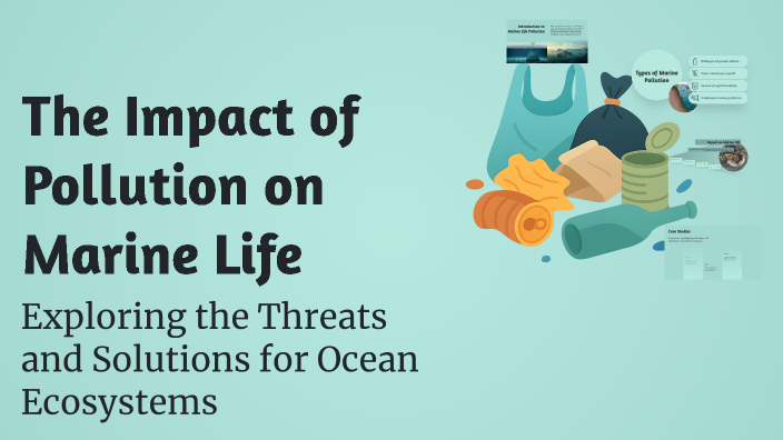 The Impact of Pollution on Marine Life by Aarav Savaliya on Prezi