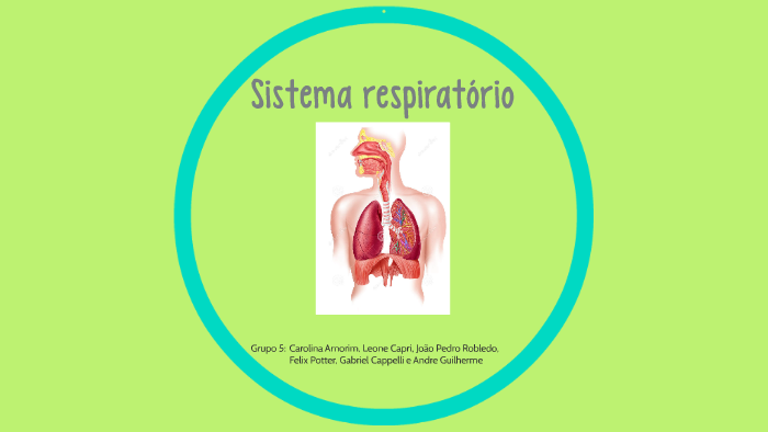 O sistema respiratório fornece oxigênio e remove gás carbôni by ...