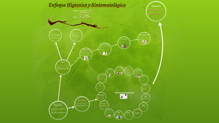 Enfoque Higienico y Sintomatológico by Camila G. on Prezi