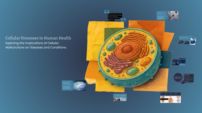 Cellular Processes in Human Health by on Prezi