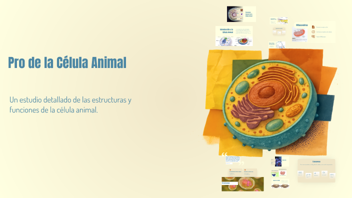 Prototipo de la Célula Animal by alex lopez on Prezi
