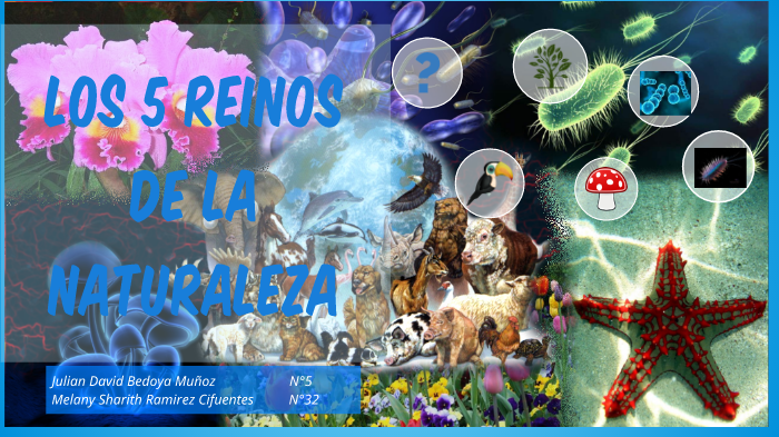 Los 5 reinos de la naturaleza. by Melany Ramirez on Prezi
