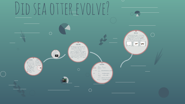 Did sea otters evolve? by Chantelle Holt-Robinson