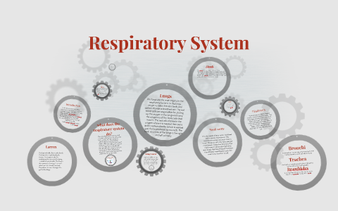 Respiratory System by on Prezi
