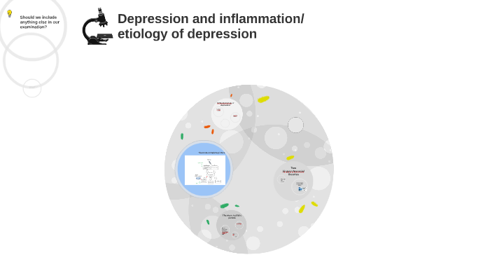 Depression and Inflammation: by Justine Lamée on Prezi