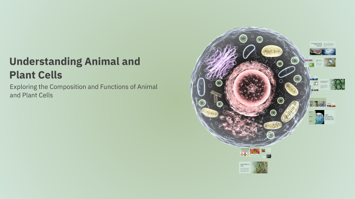 Understanding Animal and Plant Cells by Mohammed Ali on Prezi