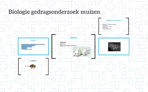 Biologie gedragsonderzoek muizen by Yannick Goos on Prezi