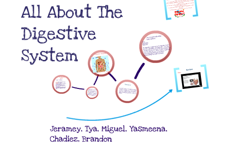 All About The Digestive System by Prezi Group on Prezi