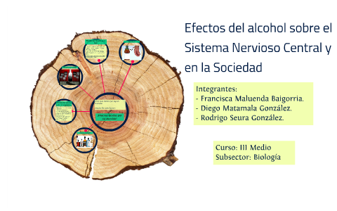Efectos Del Alcohol Sobre El Sistema Nervioso Central By Rodrigo Seura Efectos Del Alcohol Sobre El Sistema Nervioso Central By Rodrigo Seura