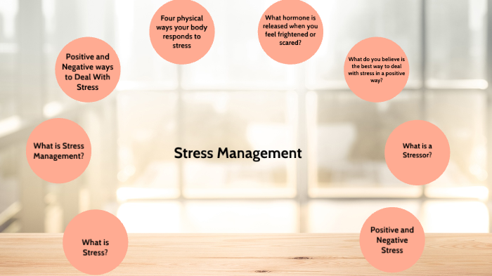 research methodology for stress management project