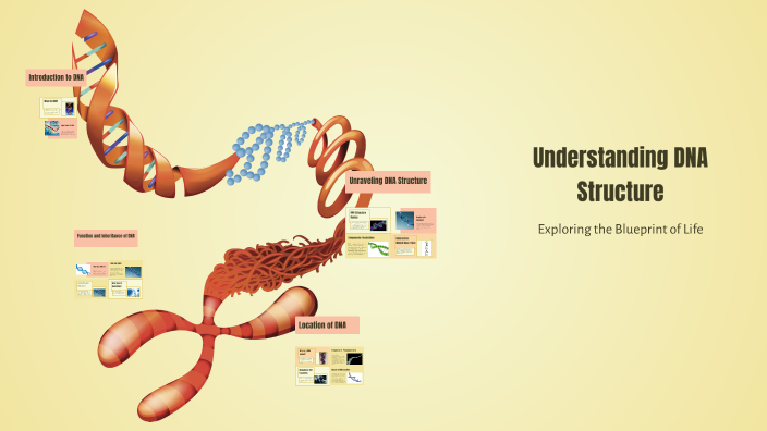 Understanding DNA Structure by Priya Maurya on Prezi