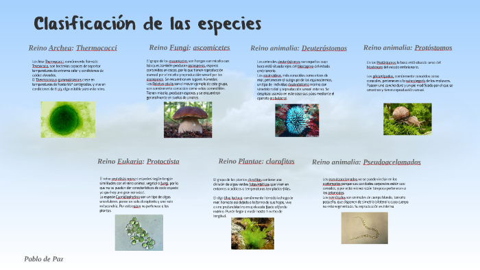 Clasificación de las especies by Pazitos Ready