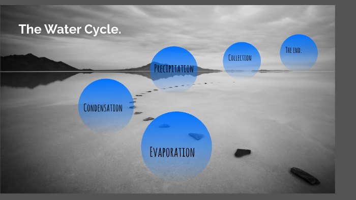 The Water Cycle by Ashley Bilbrey on Prezi
