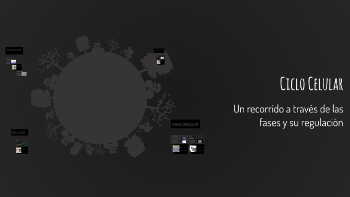 Ciclo Celular by on Prezi