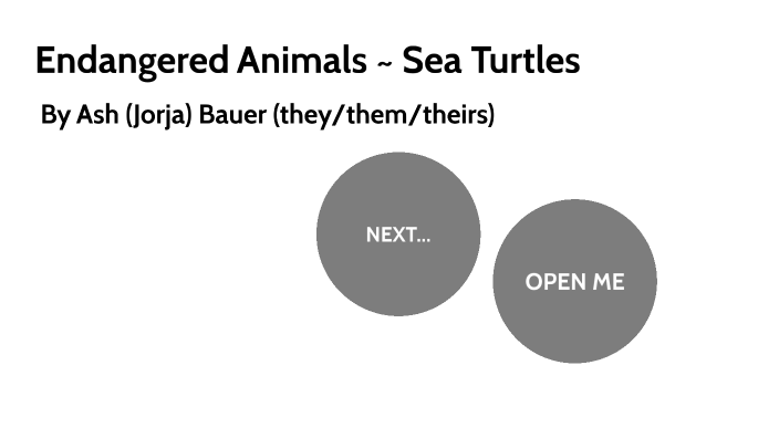 Endangered Animals ~ Sea Turtles by S&J Fam on Prezi