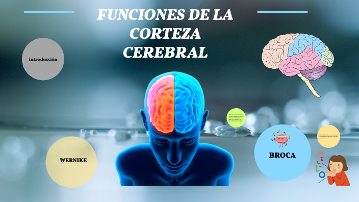 ÁREAS DE BROCA Y WERNIKE by DANIELA SANCHEZ on Prezi