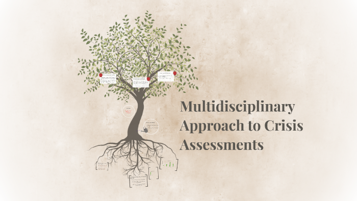 Multidisciplinary Approach To Risk Assessments By Ashley Jansma On Prezi