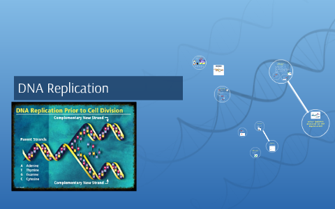 DNA Replication by Mahvish Fatima on Prezi