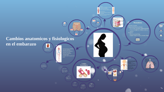 Cambios anatomicos y fisiologicos en el embarazo by America Calderon