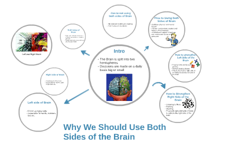 Why We Should Use Both Sides Of The Brain By Erin Rose Naparan On Prezi Why We Should Use Both Sides Of The Brain By Erin Rose Naparan On Prezi