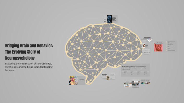 Bridging Brain and Behavior: The Evolving Story of Neuropsychology by ...