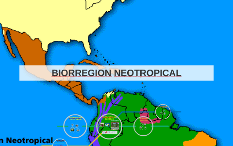 BIORREGIONES DEL ECUADOR by roque estrada on Prezi