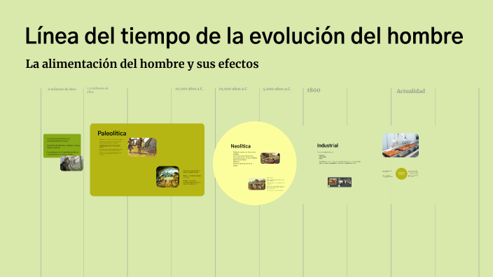 Línea del tiempo de la evoluciñon del hombre by Lena Spiegel on Prezi