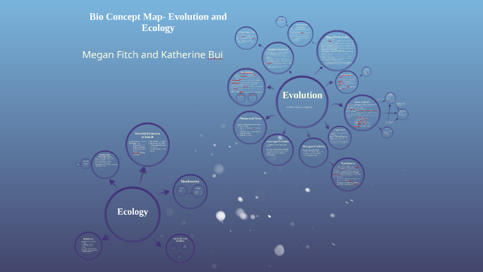 Bio Concept Map: Evolution And Ecology By Megan Fitch On Prezi