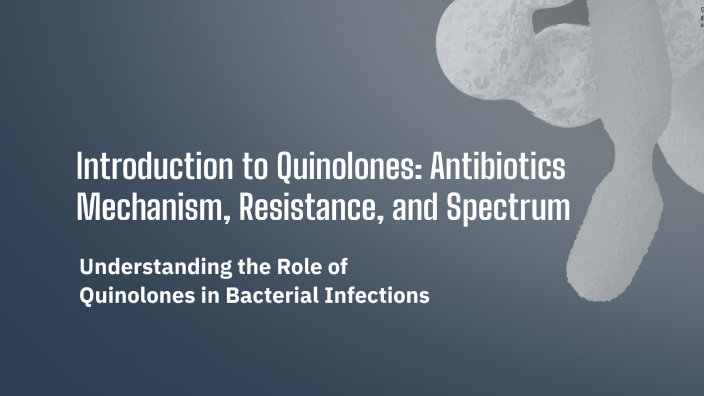 Introduction to Quinolones: Antibiotics Mechanism, Resistance, and ...