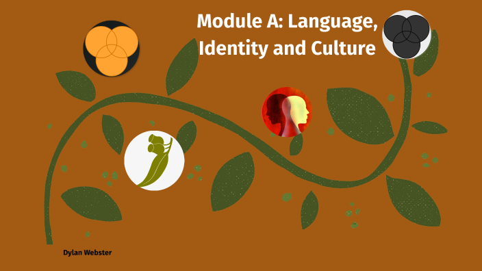 module a language identity and culture essay