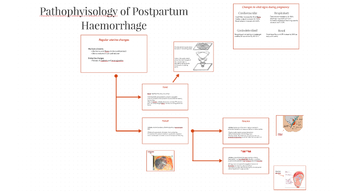 Postpartum Charting